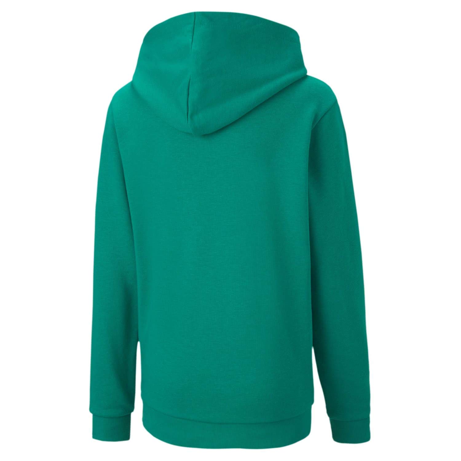 PUMA Teamgoal 23 Casuals Hoody Jr