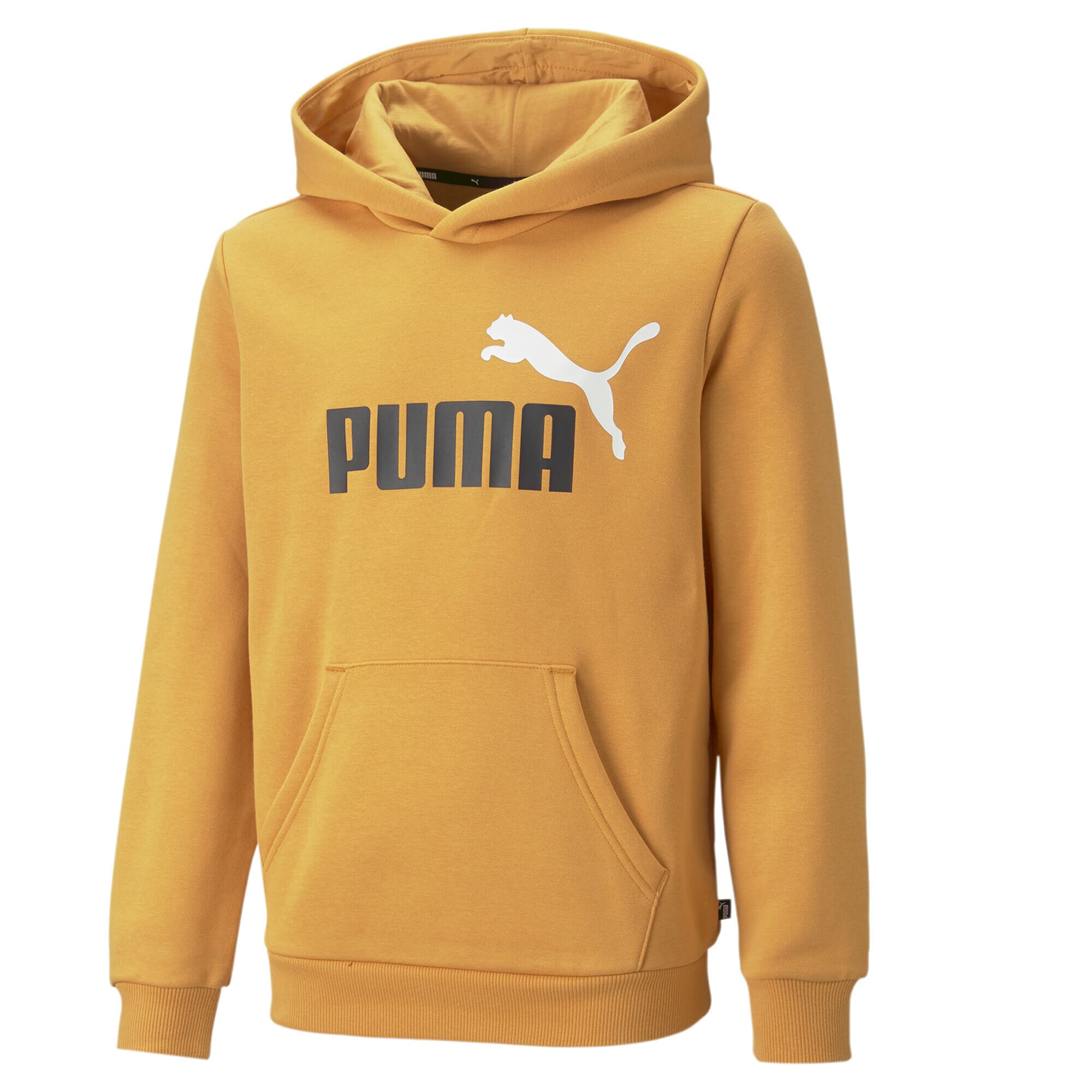 PUMA ESS Block-Sudadera con Capucha FL B Sudor para Niños