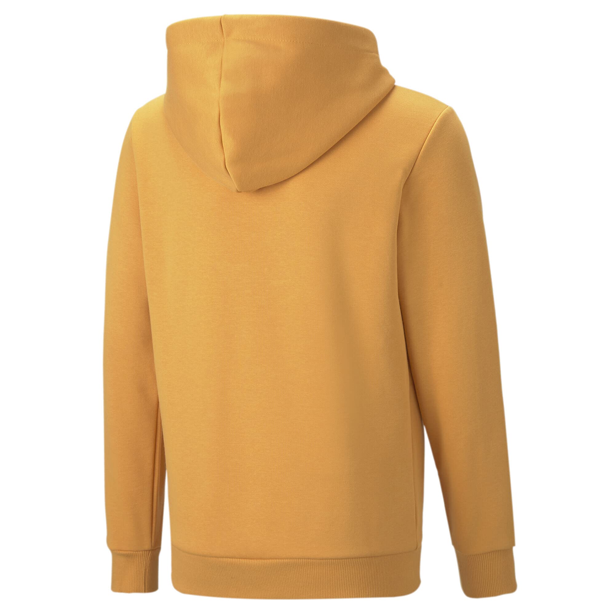 PUMA ESS Block-Sudadera con Capucha FL B Sudor para Niños