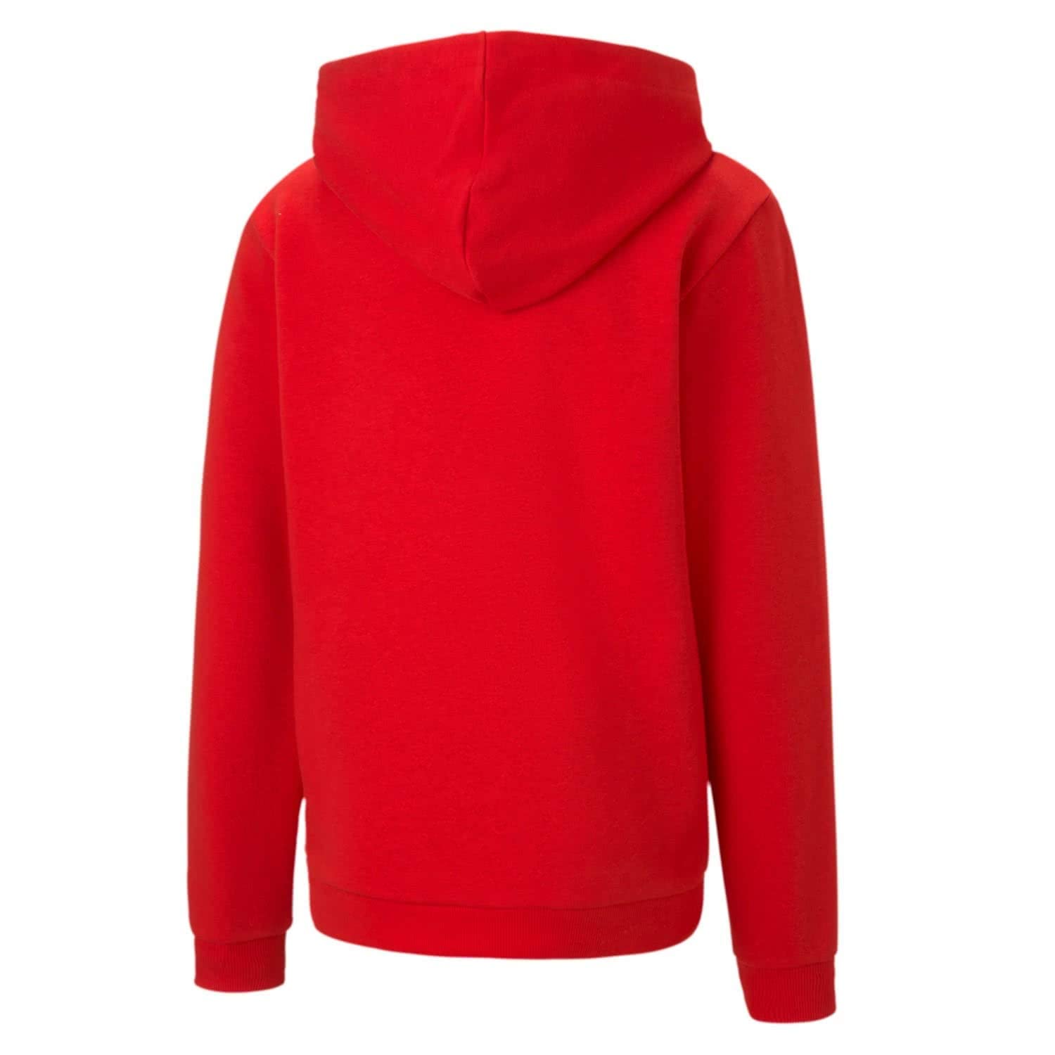 PUMA Teamgoal 23 Casuals Hoody Jr Sudadera Niños