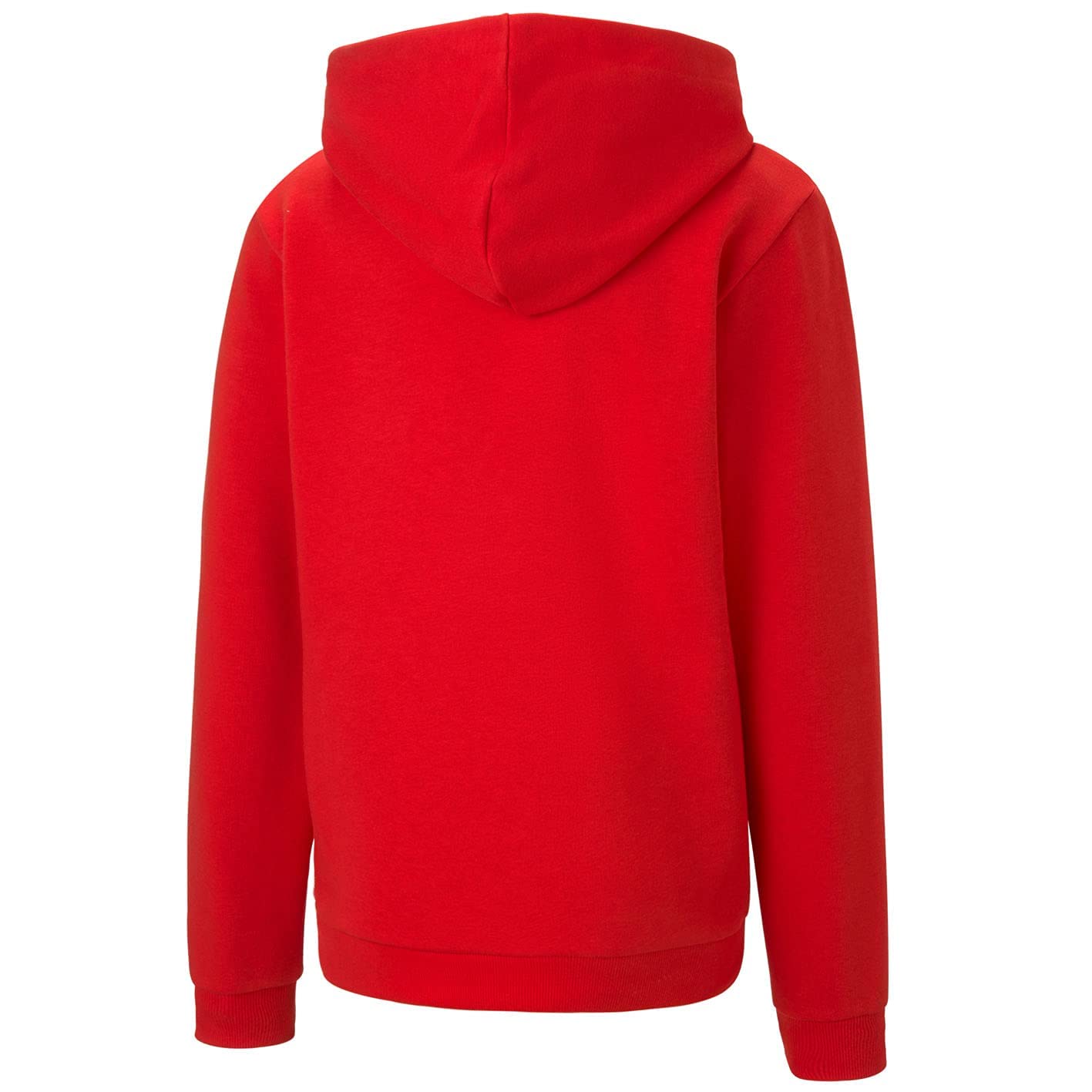 PUMA Teamgoal 23 Casuals Hoody Jr Sudadera Niños