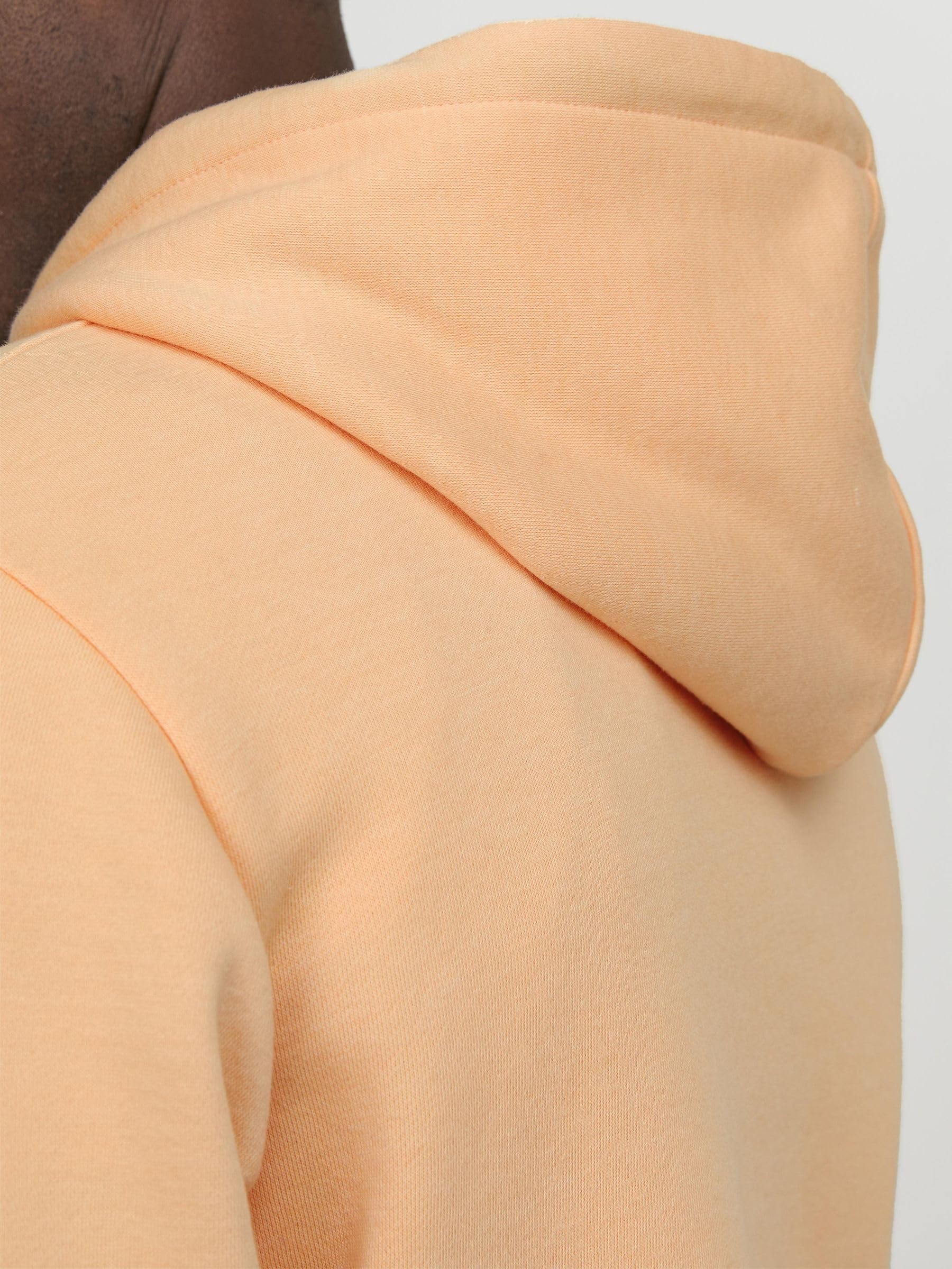 Jack & Jones Hoodie Logo Hoodie