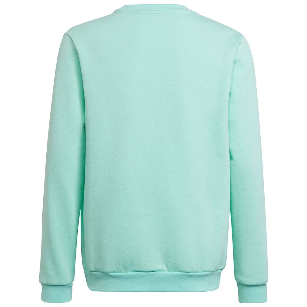adidas Entrada 22 Sweatshirt Sudadera Unisex niños