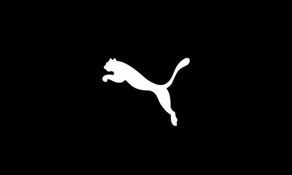 PUMA Teamgoal 23 Casuals Hoody Jr Sudadera Niños