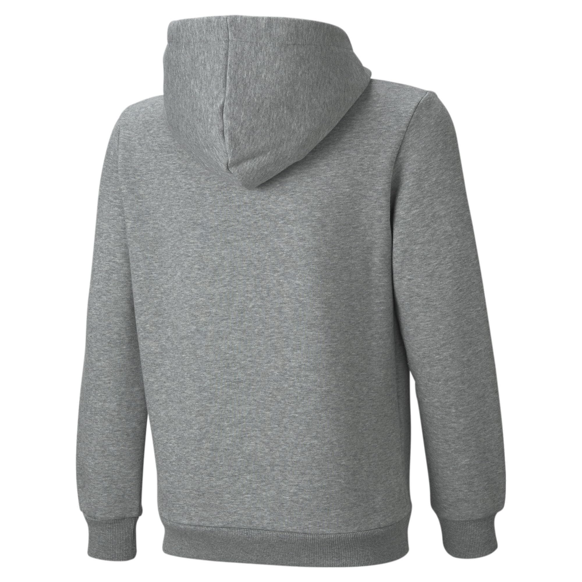 Puma Boy's ESS Big Logo Hoodie FL B Sweat