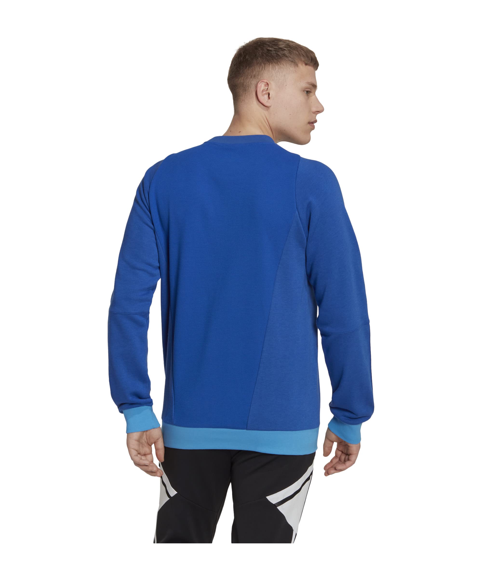 adidas Tiro23 C Co Cre Sweatshirt Hombre