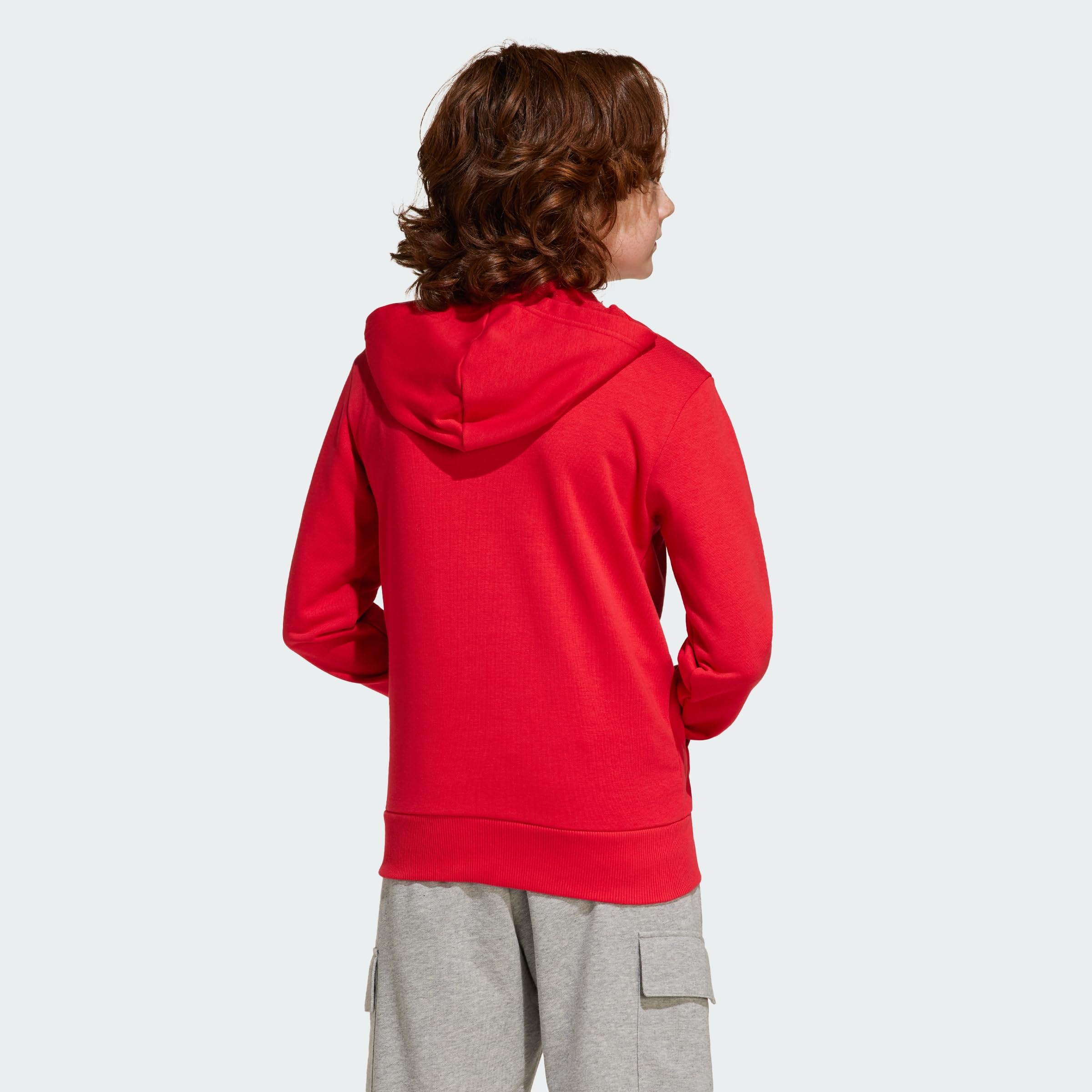 adidas Essentials Big Logo Hoodie Sudadera con Capucha Unisex niños (Pack de 1)