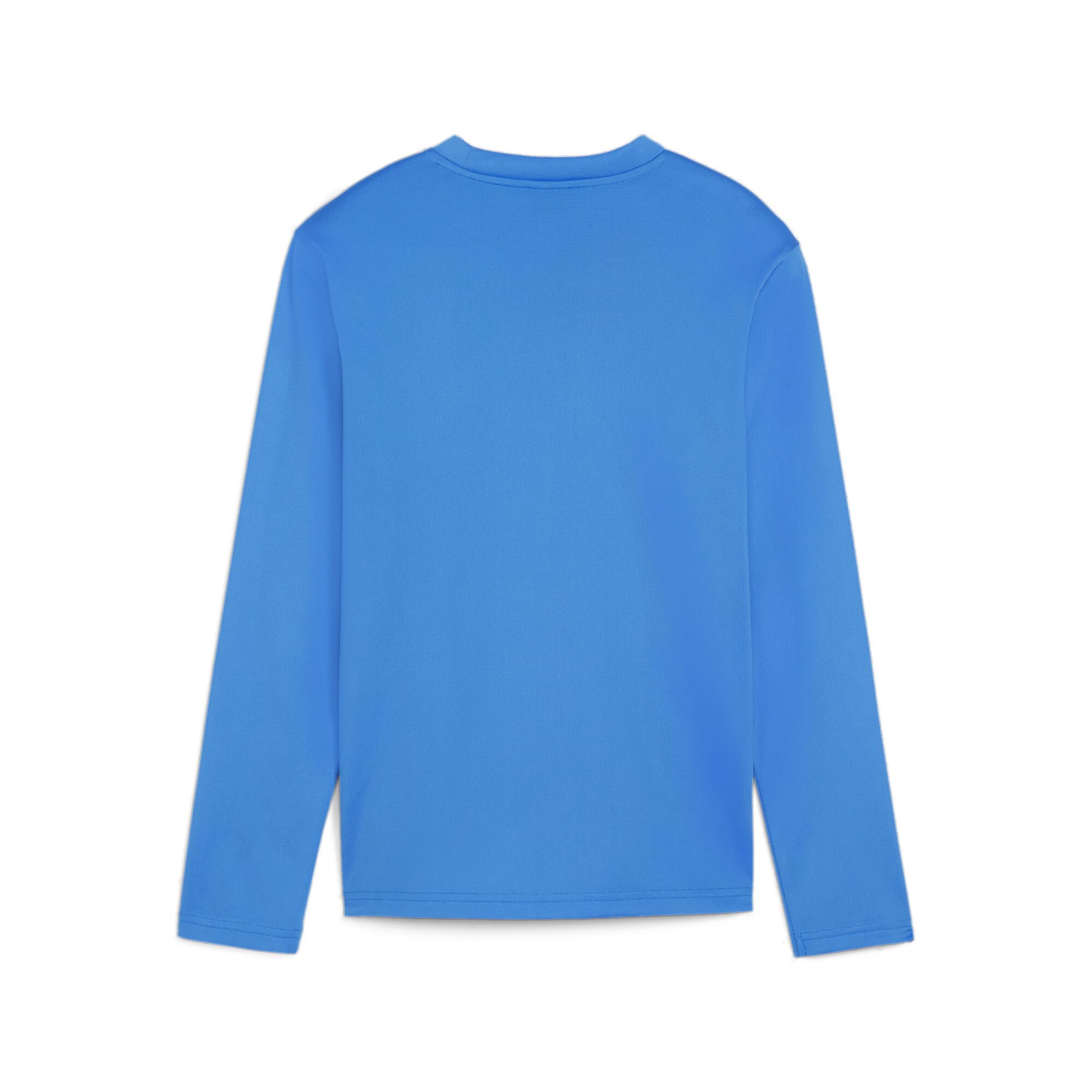 PUMA Teamgoal Training Sweat Jr